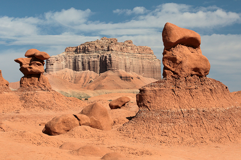 Bison : Antelope Island : Utah : Landscape Photos : Richard Moore : Photographer